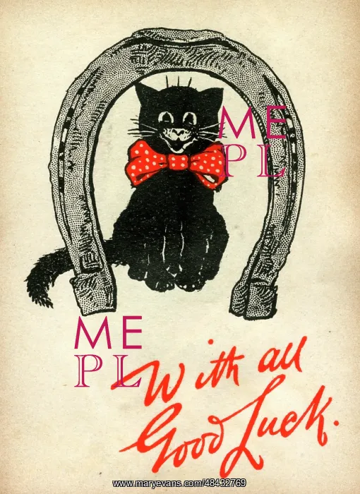  : Good Luck card, black cat in a horseshoe