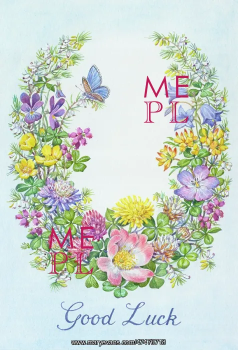 : Good Luck ' Wild rose, clover, heather, violets : Good Luck ' Wild rose, clover, heather, violets