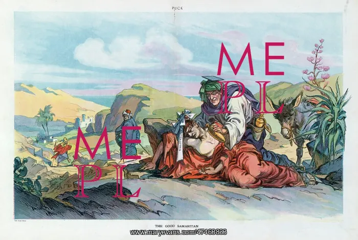 : The good samaritan : The good samaritan