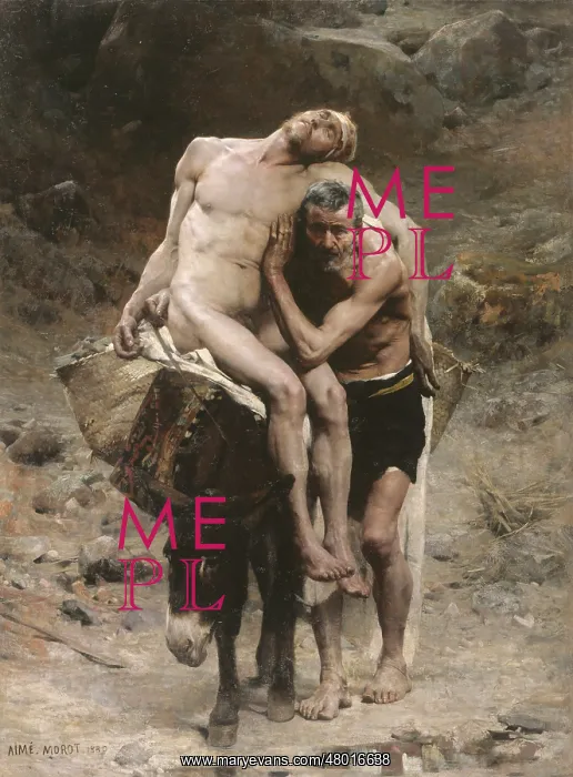 : The Good Samaritan : The Good Samaritan