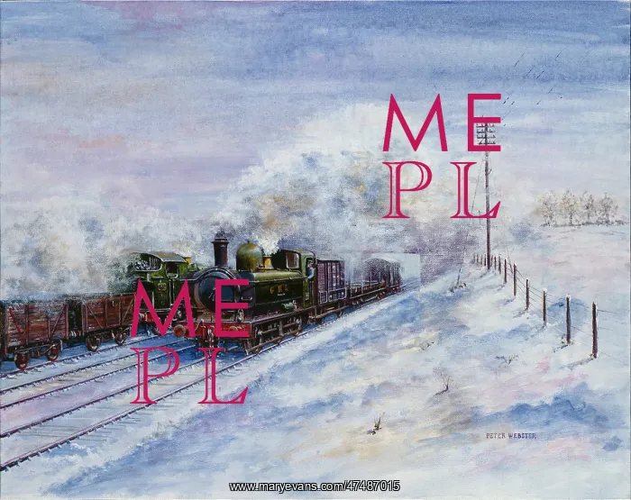 : Goods in the Snow ' steam trains : Goods in the Snow ' steam trains