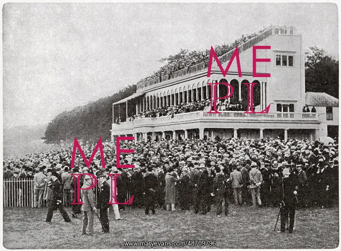 : Goodwood Racecourse 1903 : Goodwood Racecourse 1903