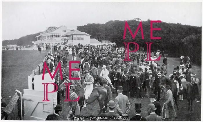 : Goodwood Races 1903 : Goodwood Races 1903