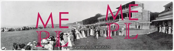 : Goodwood Races 1908 : Goodwood Races 1908