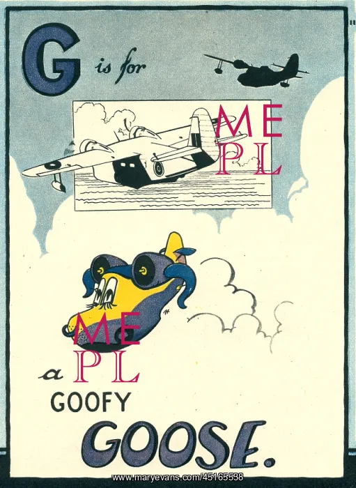 : A Goofy Goose : A Goofy Goose