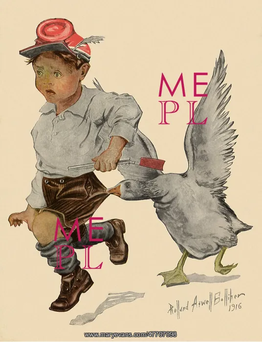 : Goose and Boy : Goose and Boy