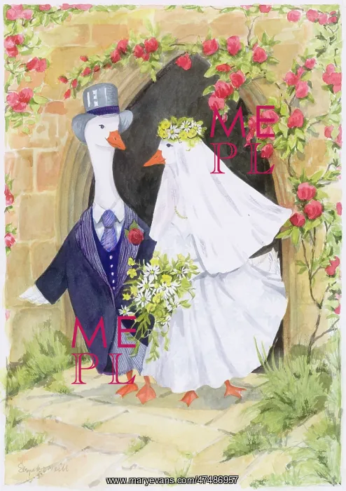 : Goose bride and goose bridegroom : Goose bride and goose bridegroom