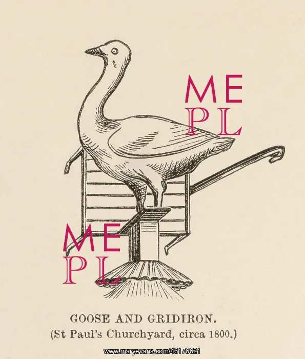  : GOOSE AND GRIDIRON