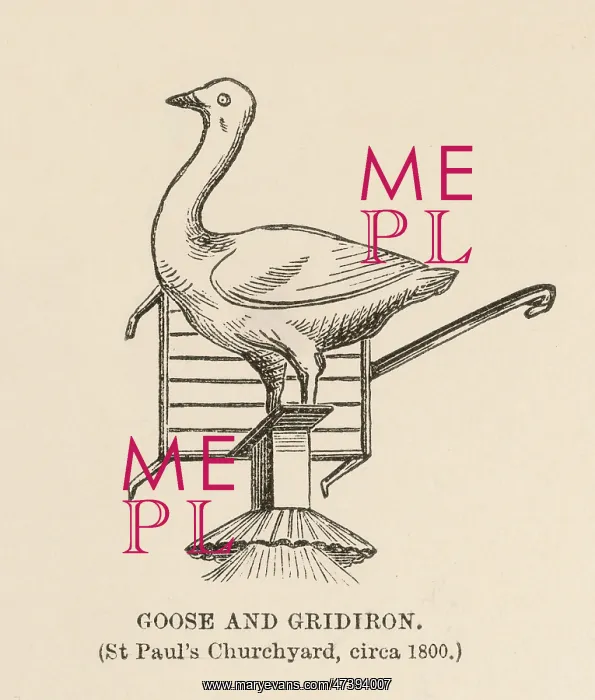  : GOOSE AND GRIDIRON