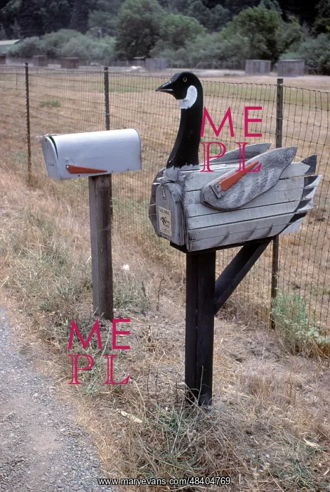 : Goose US Mailbox : Goose US Mailbox