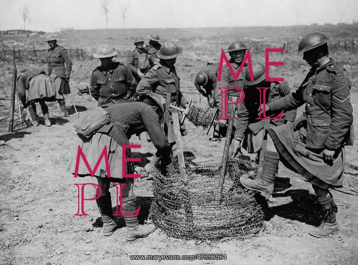 : Gordon Highlanders with barbed wire, Western Front, WW1 : Gordon Highlanders with barbed wire, Western Front, WW1