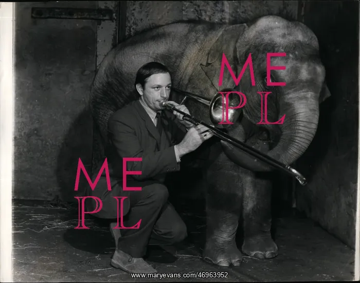 : Gordon Robinson practises trombone in elephant house : Gordon Robinson practises trombone in elephant house