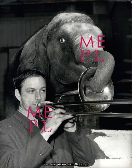 : Gordon Robinson practises trombone in elephant house : Gordon Robinson practises trombone in elephant house