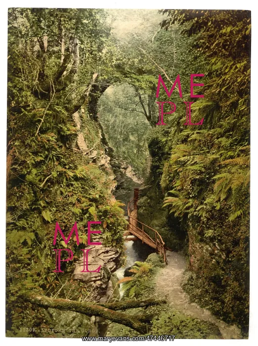 : The gorge, Lydford, England : The gorge, Lydford, England