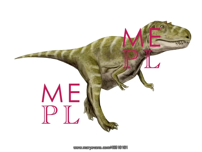 : Gorgosaurus dinosaur : Gorgosaurus dinosaur
