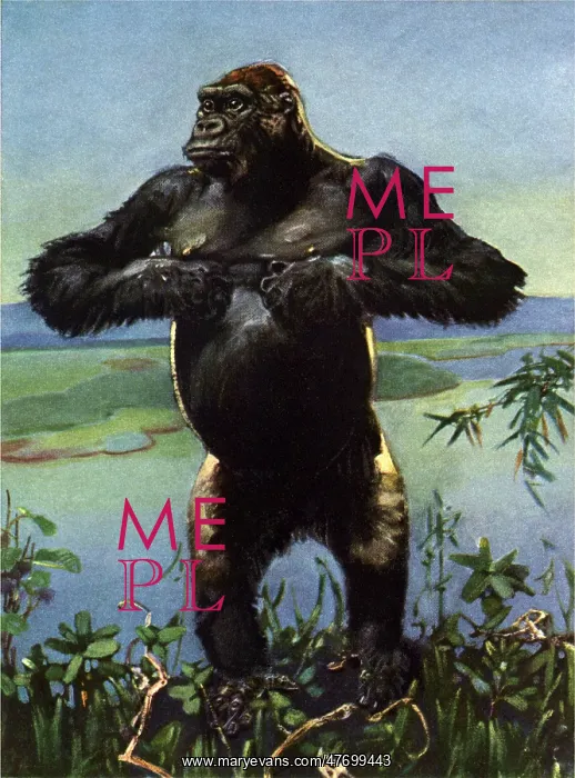  : Gorilla