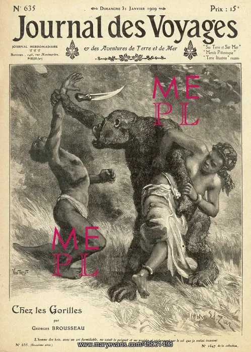 : GORILLA ON THE ATTACK : GORILLA ON THE ATTACK