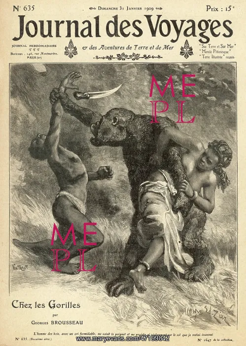 : GORILLA ON THE ATTACK : GORILLA ON THE ATTACK