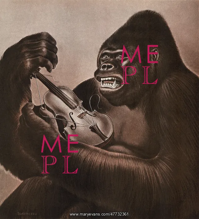  : Gorilla destroys Violin