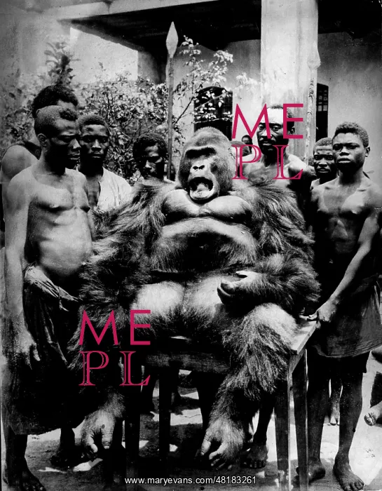 : Gorilla hunting, 1926 : Gorilla hunting, 1926