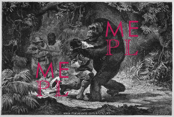 : GORILLA AND VICTIM : GORILLA AND VICTIM
