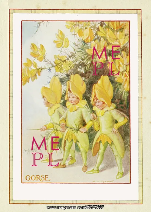: Gorse Fairies : Gorse Fairies