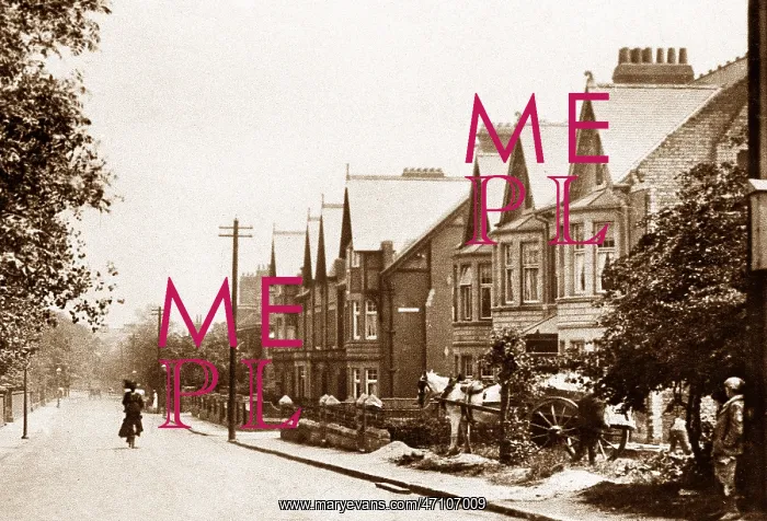  : Gosforth The Grove