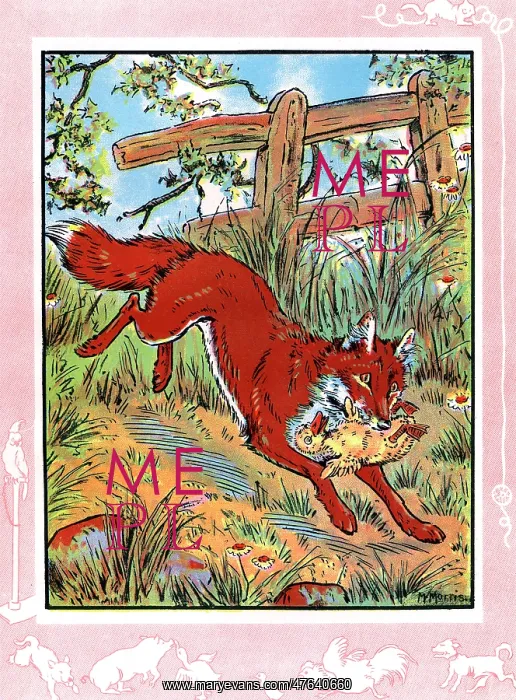 : Gosling carried off by a fox : Gosling carried off by a fox