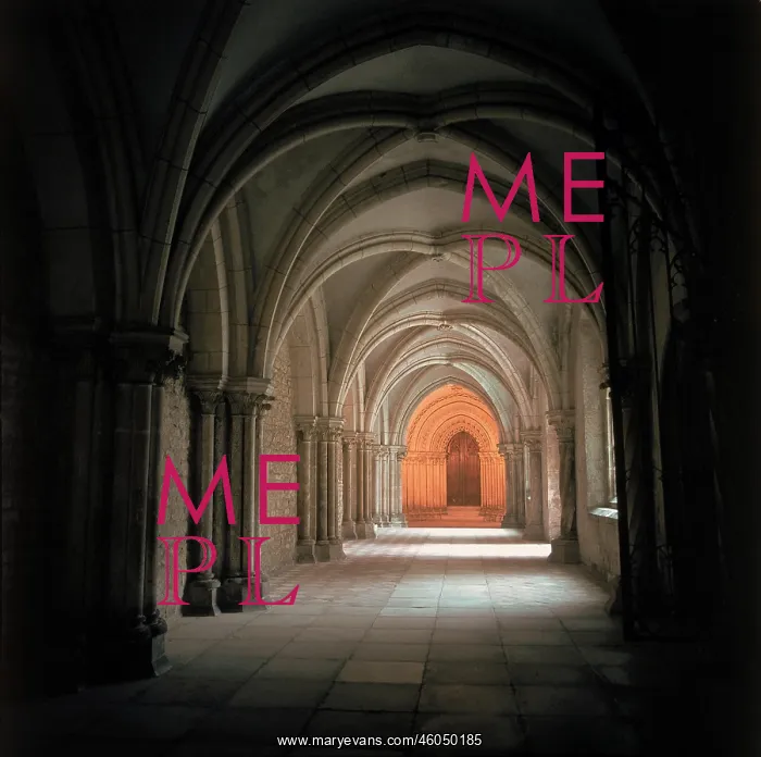 : Gothic cloister : Gothic cloister