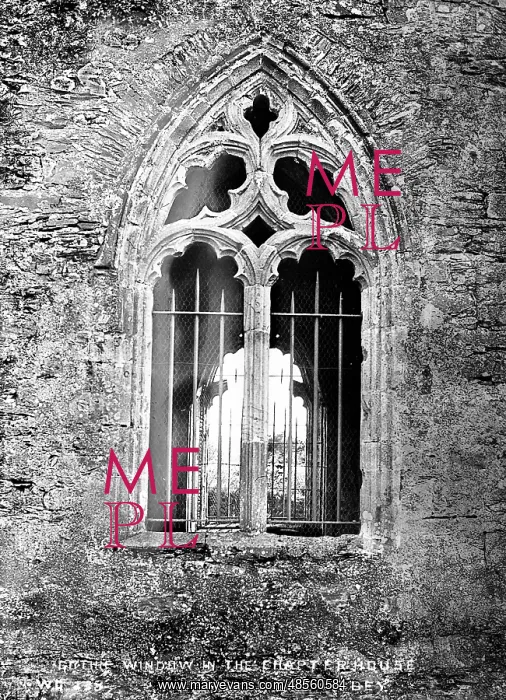 : Gothic Window in the Chapterhouse, Mellifont Abbey : Gothic Window in the Chapterhouse, Mellifont Abbey