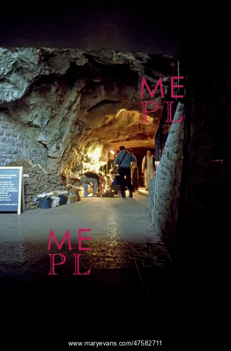 : Gough's Cave excavation site : Gough's Cave excavation site
