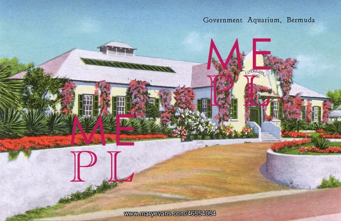  : The Government Aquarium, Bermuda