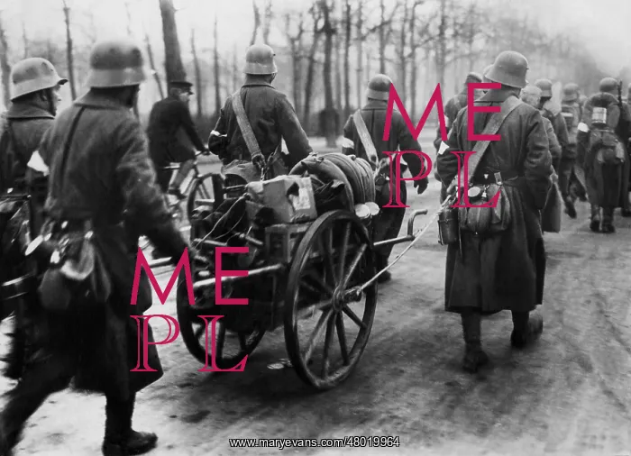 : Government troops in the Kleiner Tiergarten, 1919 : Government troops in the Kleiner Tiergarten, 1919