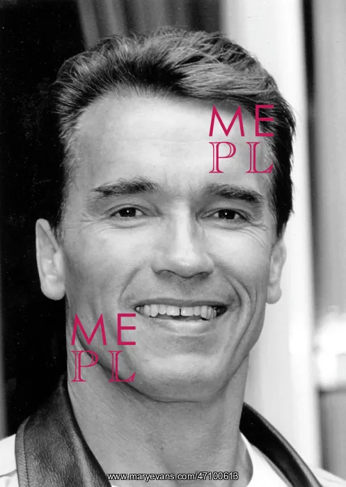 : Governor, Actor Arnold Schwarzenegger 1947 - : Governor, Actor Arnold Schwarzenegger 1947 -