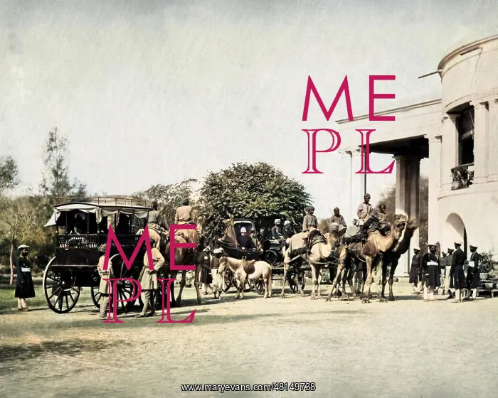 : Governor of Punjab with camel carriages, India : Governor of Punjab with camel carriages, India
