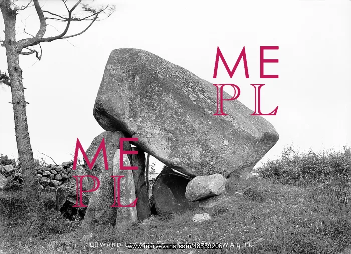 : Goward Cromlech, Co. Down : Goward Cromlech, Co. Down