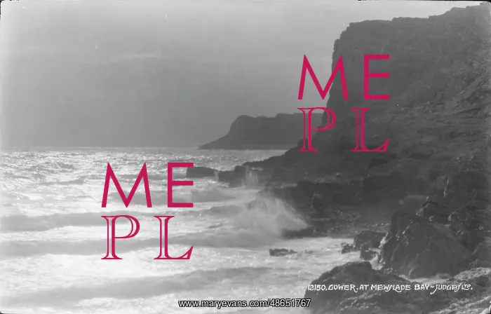 : Gower at Mewlade Bay : Gower at Mewlade Bay