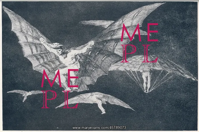 : Goya Birdmen : Goya Birdmen