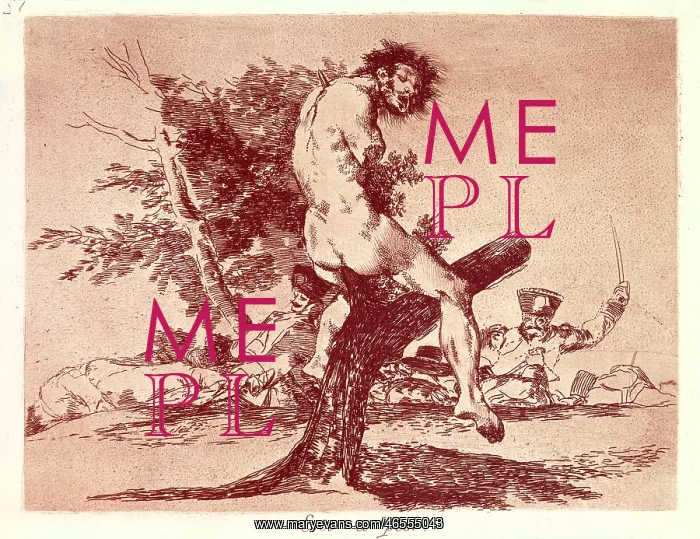 : GOYA Y LUCIENTES, Francisco de (1746-1828). The : GOYA Y LUCIENTES, Francisco de (1746-1828). The