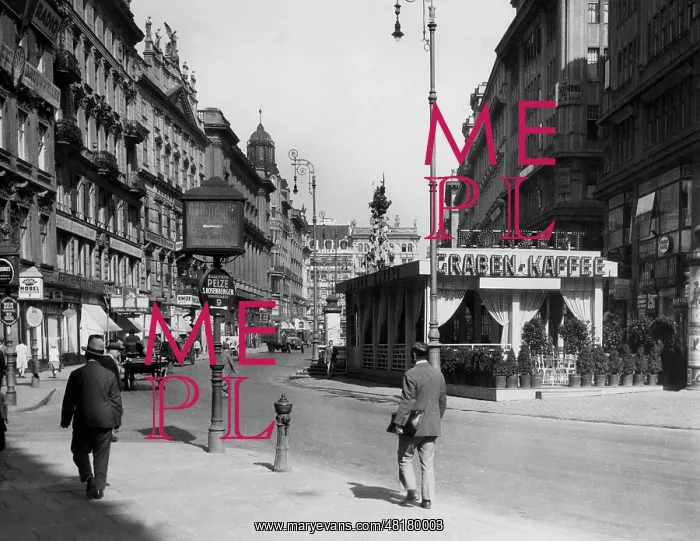 : The Graben in Vienna, 1928 : The Graben in Vienna, 1928