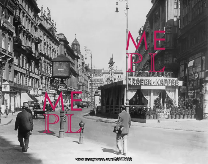 : The Graben in Vienna, 1928 : The Graben in Vienna, 1928