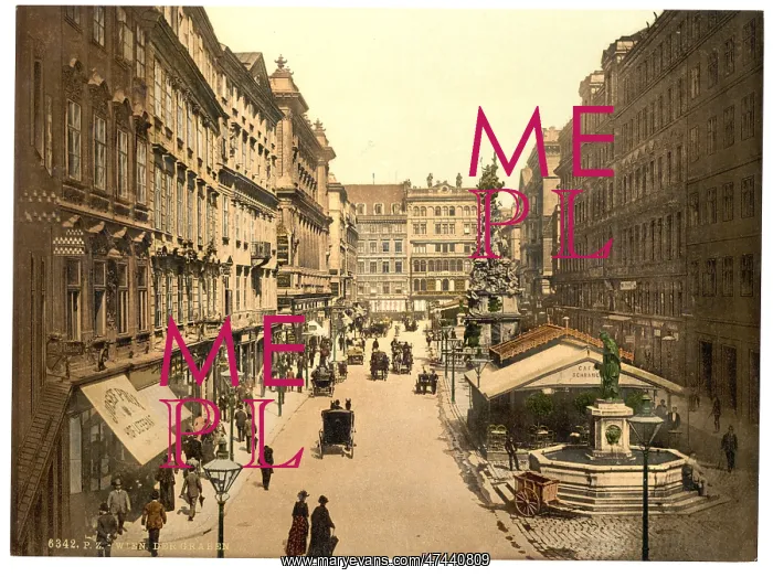 : The Graben, Vienna, Austro-Hungary : The Graben, Vienna, Austro-Hungary