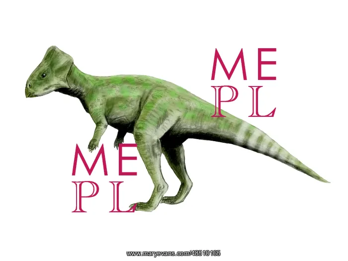: Graciliceratops dinosaur : Graciliceratops dinosaur