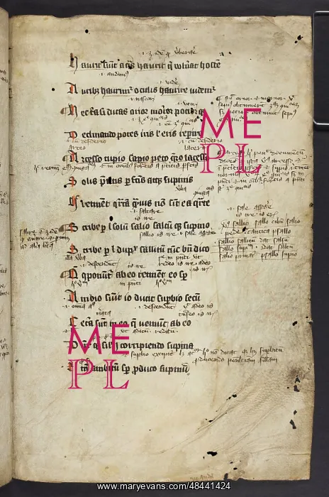  : Graecismus (Fragment)