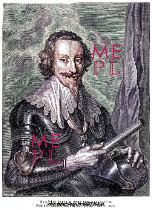 : GRAF ZU PAPPENHEIM : GRAF ZU PAPPENHEIM
