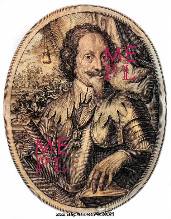 : GRAF ZU PAPPENHEIM : GRAF ZU PAPPENHEIM