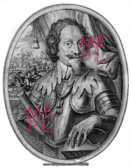 : GRAF ZU PAPPENHEIM : GRAF ZU PAPPENHEIM
