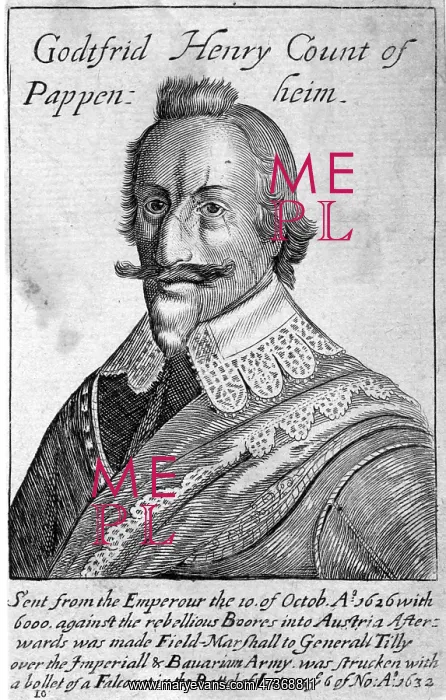 : GRAF ZU PAPPENHEIM : GRAF ZU PAPPENHEIM