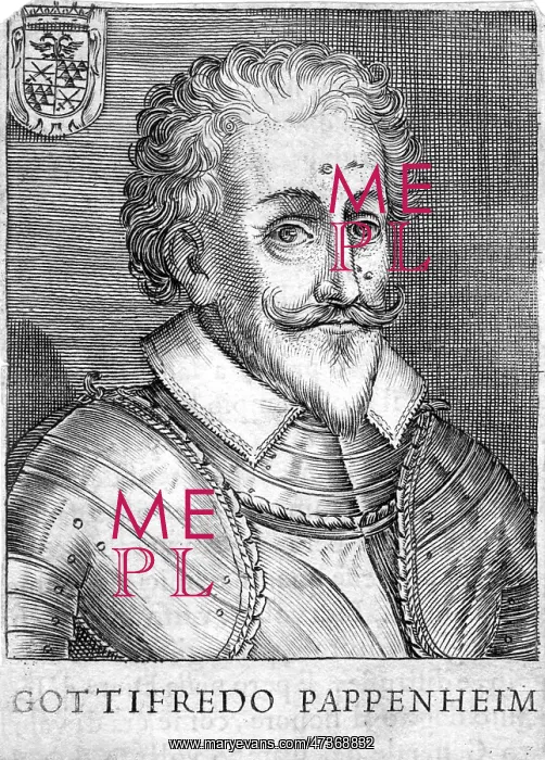 : GRAF ZU PAPPENHEIM : GRAF ZU PAPPENHEIM