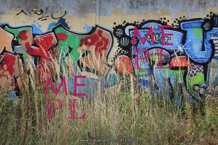 : Graffiti, Nordbahnhof Park, Berlin, Germany : Graffiti, Nordbahnhof Park, Berlin, Germany